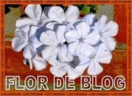 FLOR DE BLOG