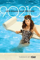 90210 Character Television Poster - Silver - New Drama. Same Zip Code.