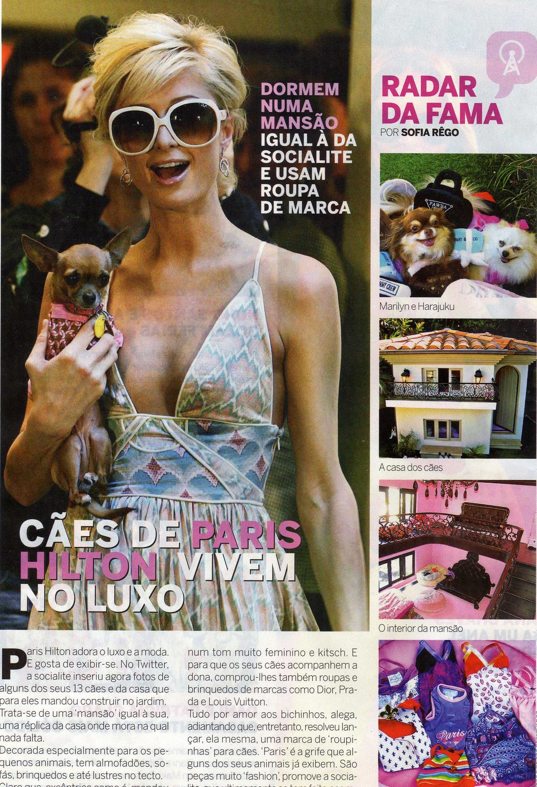 [P+Hilton+via+de+cão+-032.jpg]