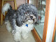 My photo