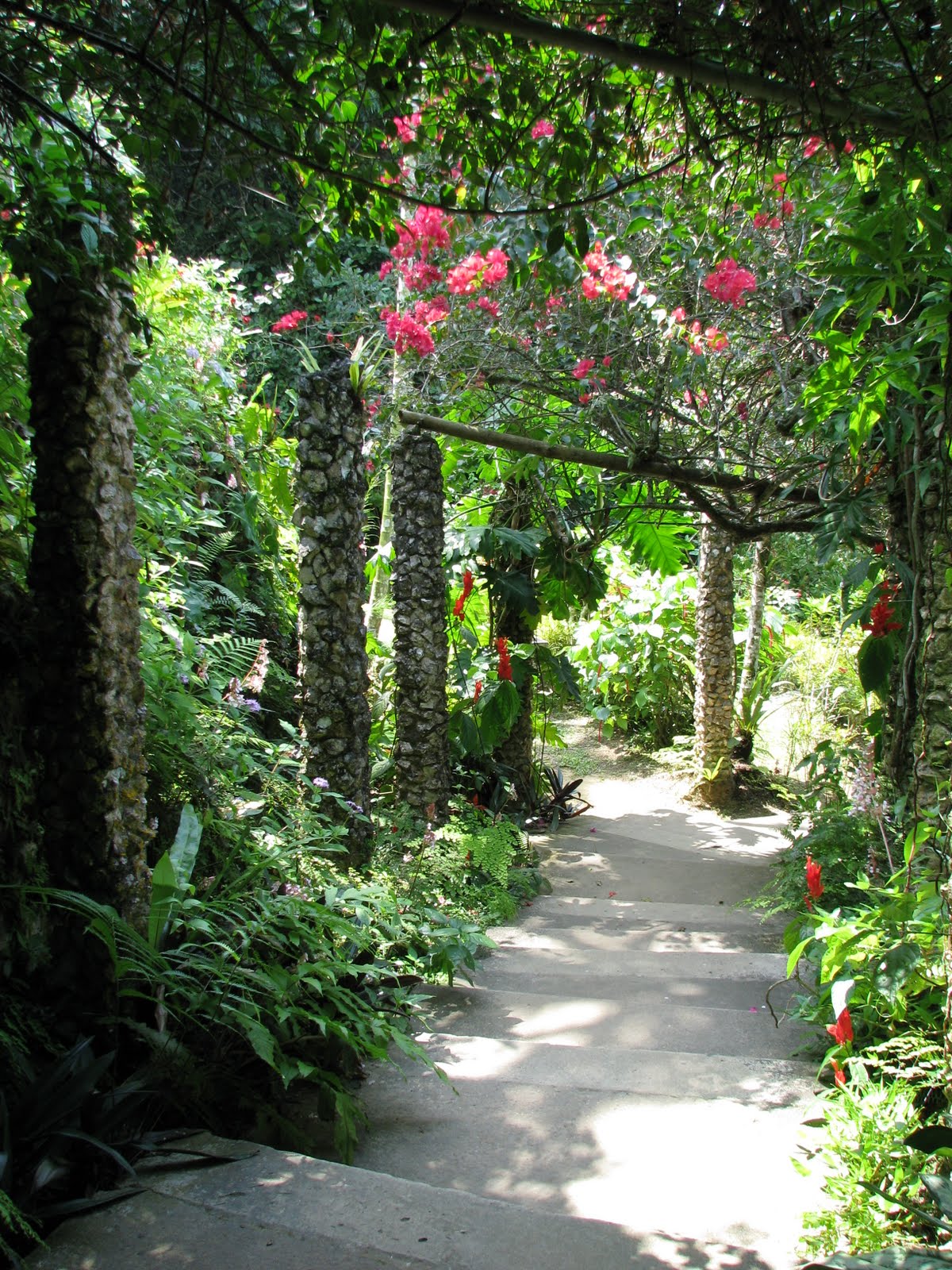California Dreamin' Shaw Park Gardens Ochos Rios, Jamaica