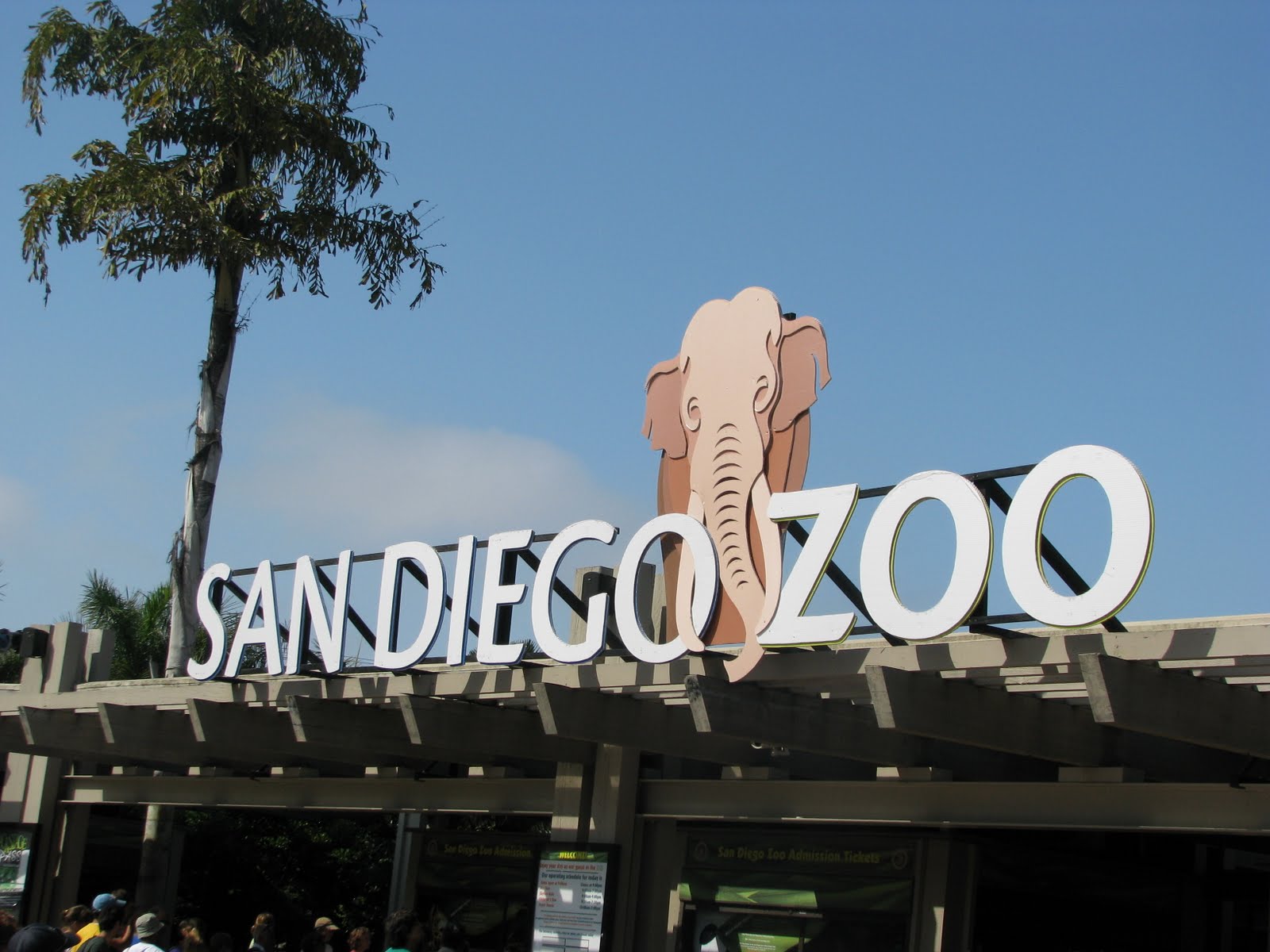 California Dreamin' San Diego Zoo