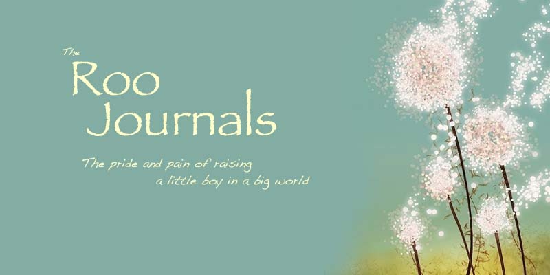 The Roo Journals