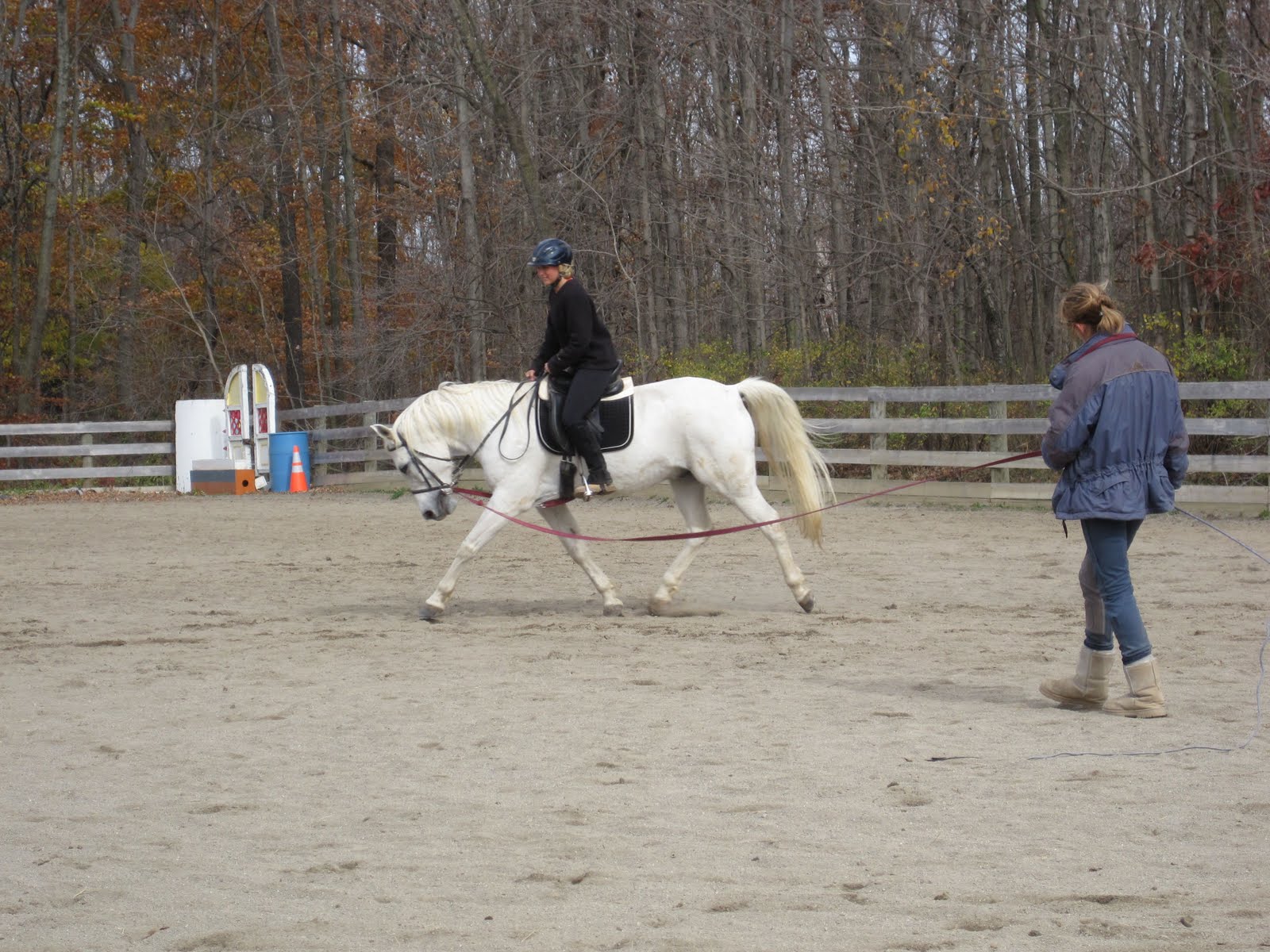 Diary of the Overanxious Horse Owner Dressage is HARD!