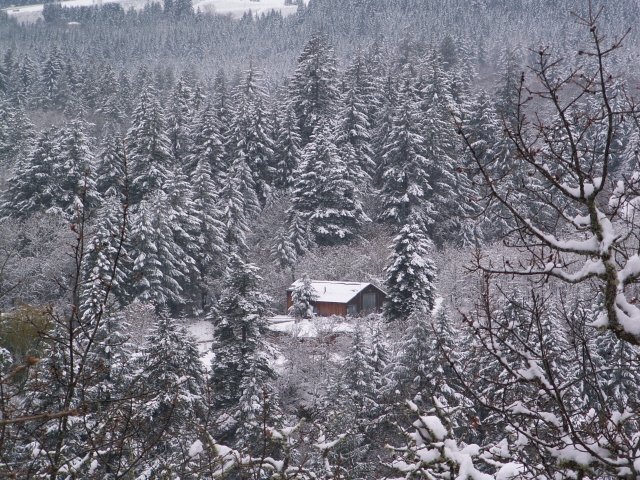 [SnowDaze021.JPG]