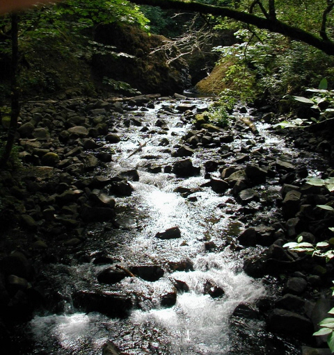 [BridalVeil05.JPG]