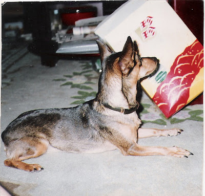 小巨蛋門市．丹麥LINDBERG在台最大店中店－光明分子．眼鏡