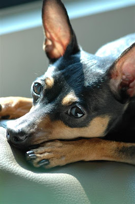 小巨蛋門市．丹麥LINDBERG在台最大店中店－光明分子．眼鏡