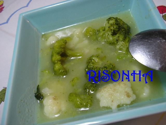 [SOPADEBRCULOSECOUVEFLOR002EDITED.jpg]