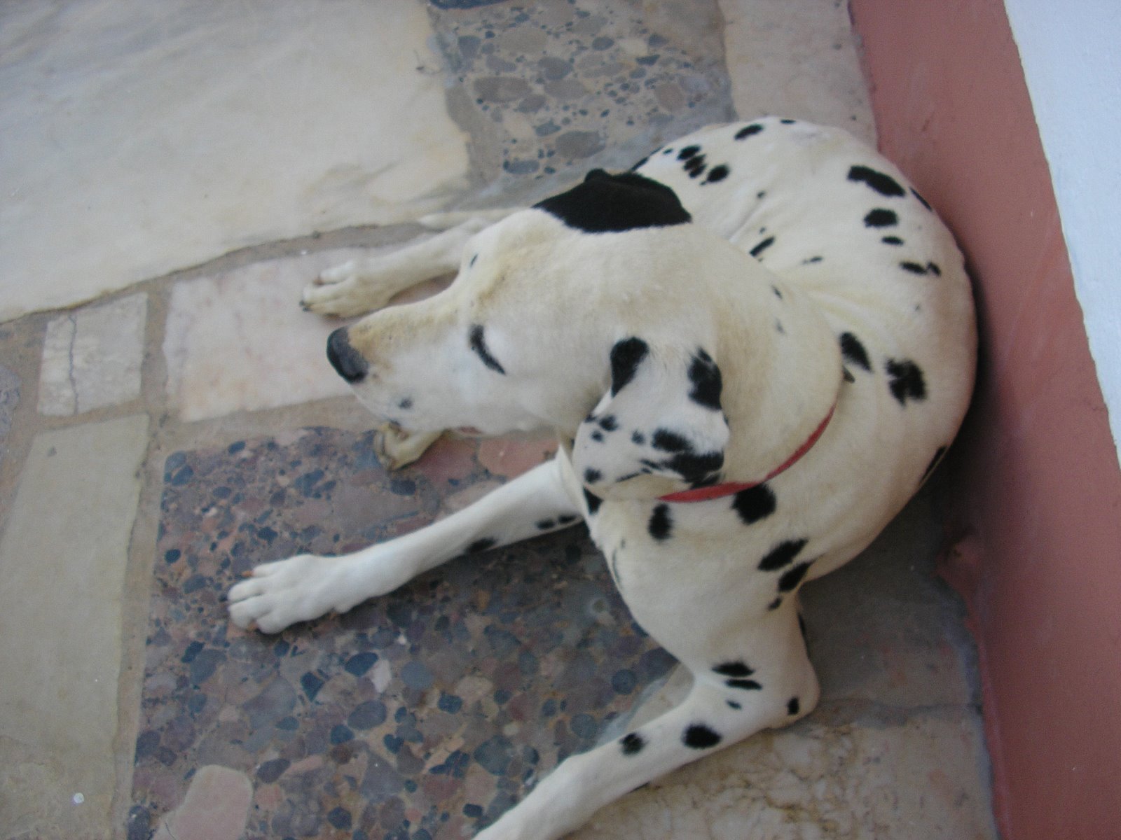 [MARCHA+PASSEIO+DE+VILA+DO+BISPO+024.jpg]