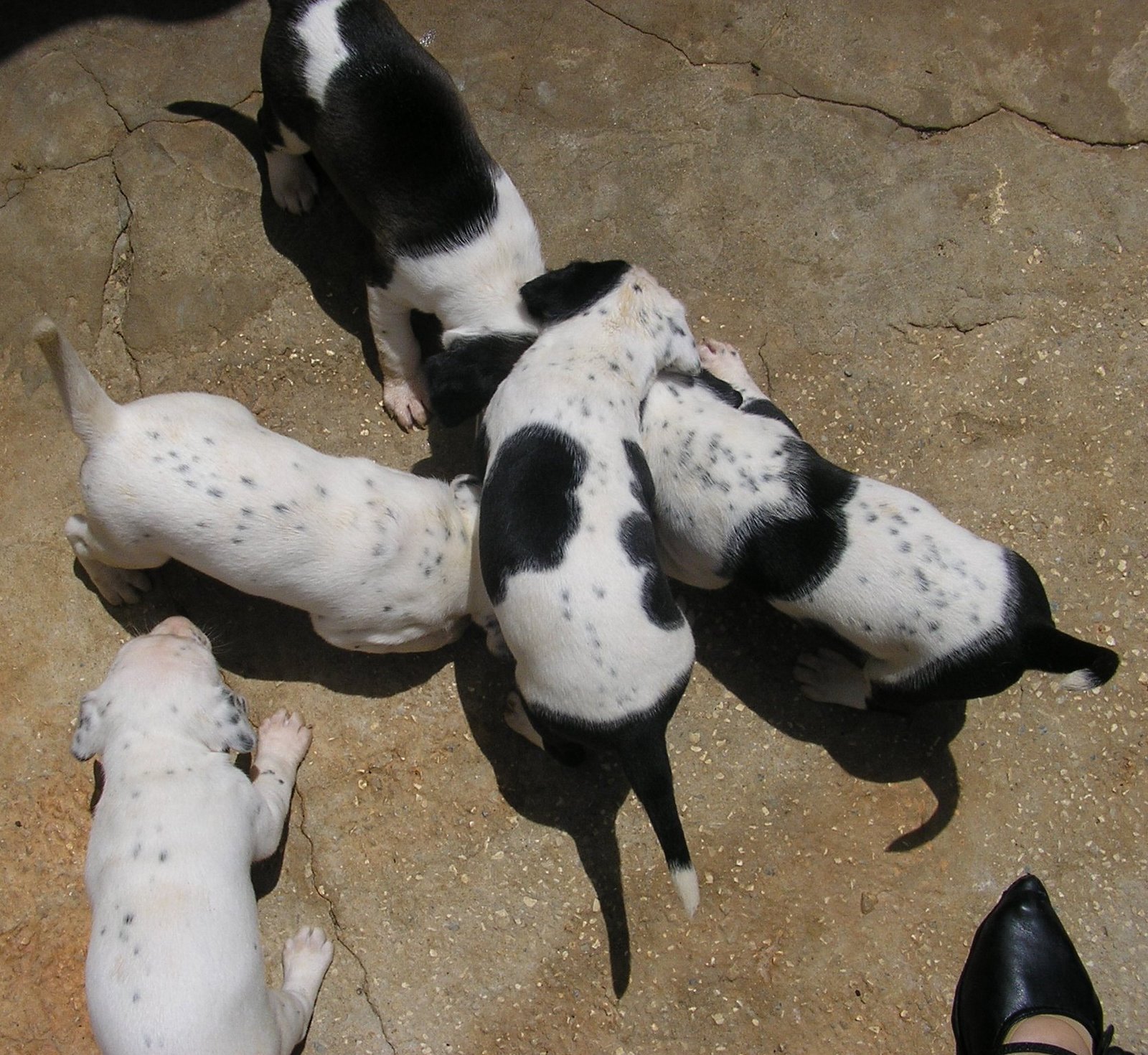 [aes+1+mês+002.jpg]