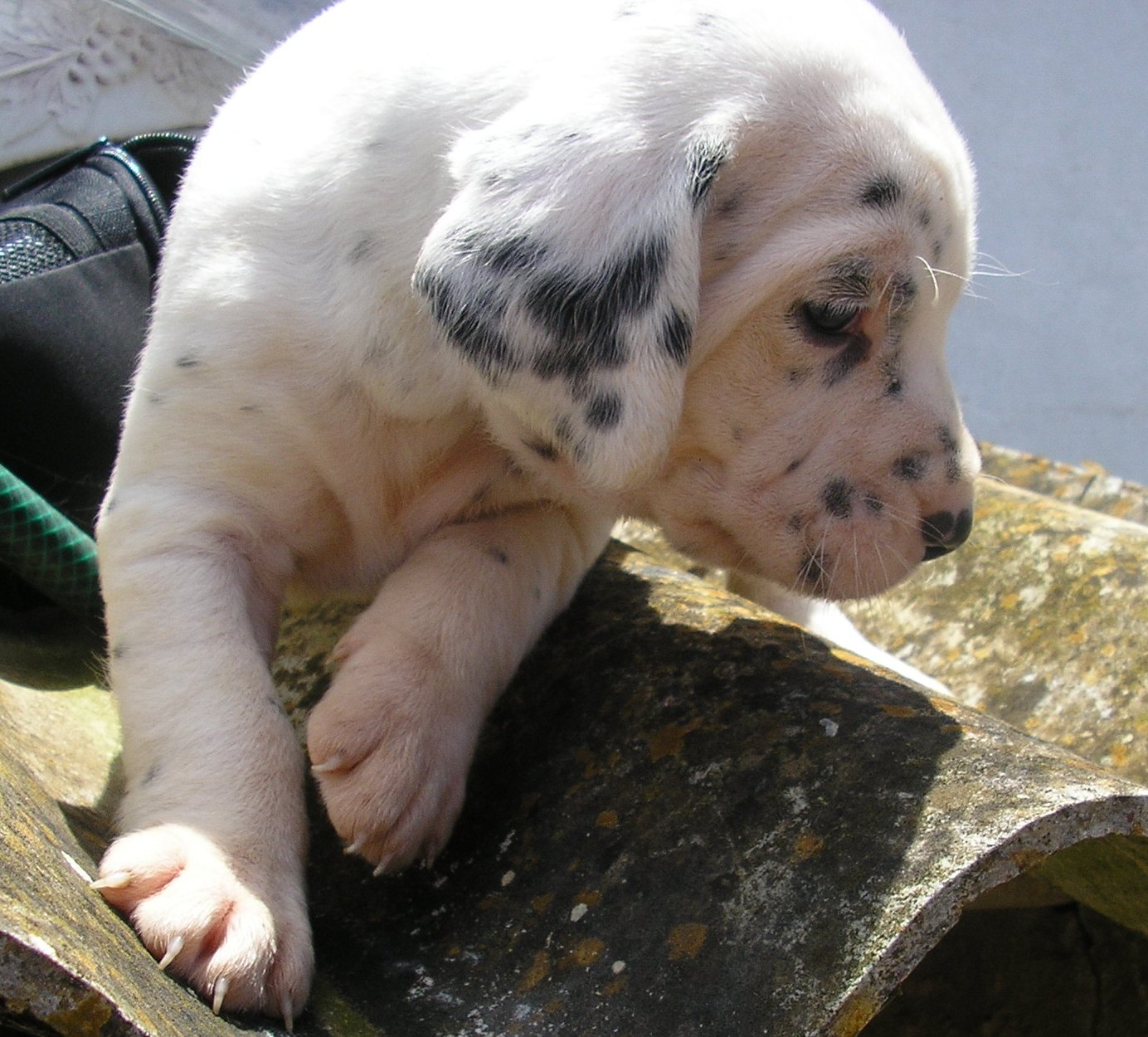 [aes+1+mês+003.jpg]