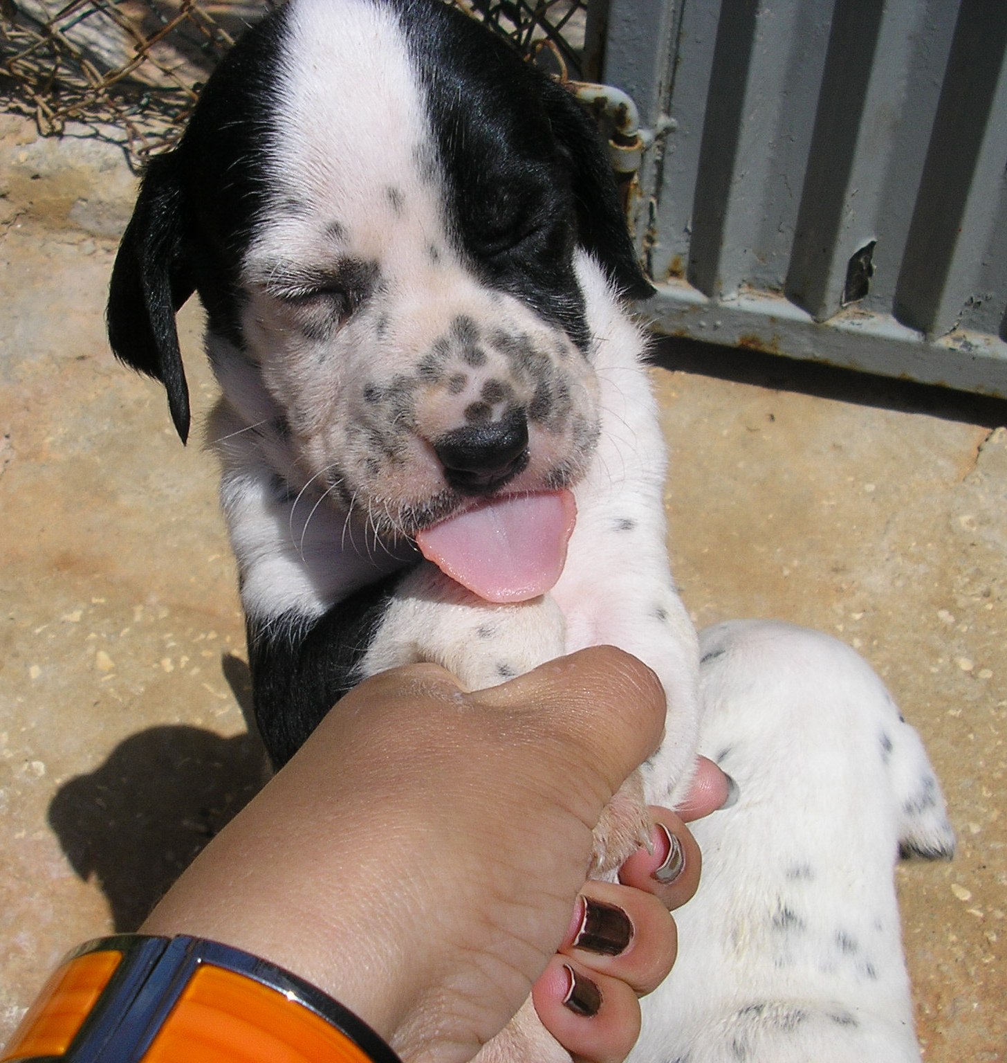 [aes+1+mês+009.jpg]