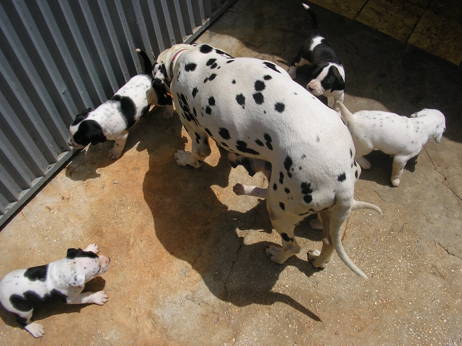 [aes+1+mês+015.jpg]