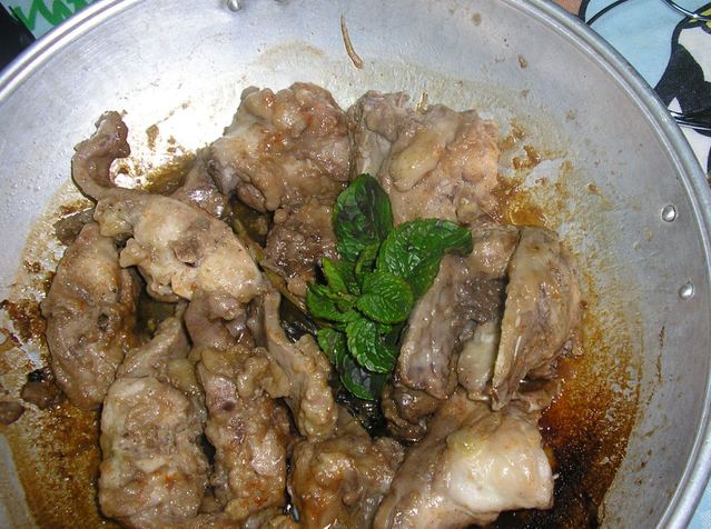 [CATAPLANADECOELHO004.jpg]