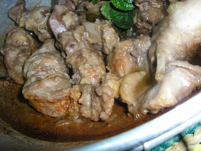 [CATAPLANADECOELHO003.jpg]