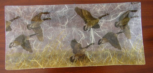 [travessapatos003.jpg]