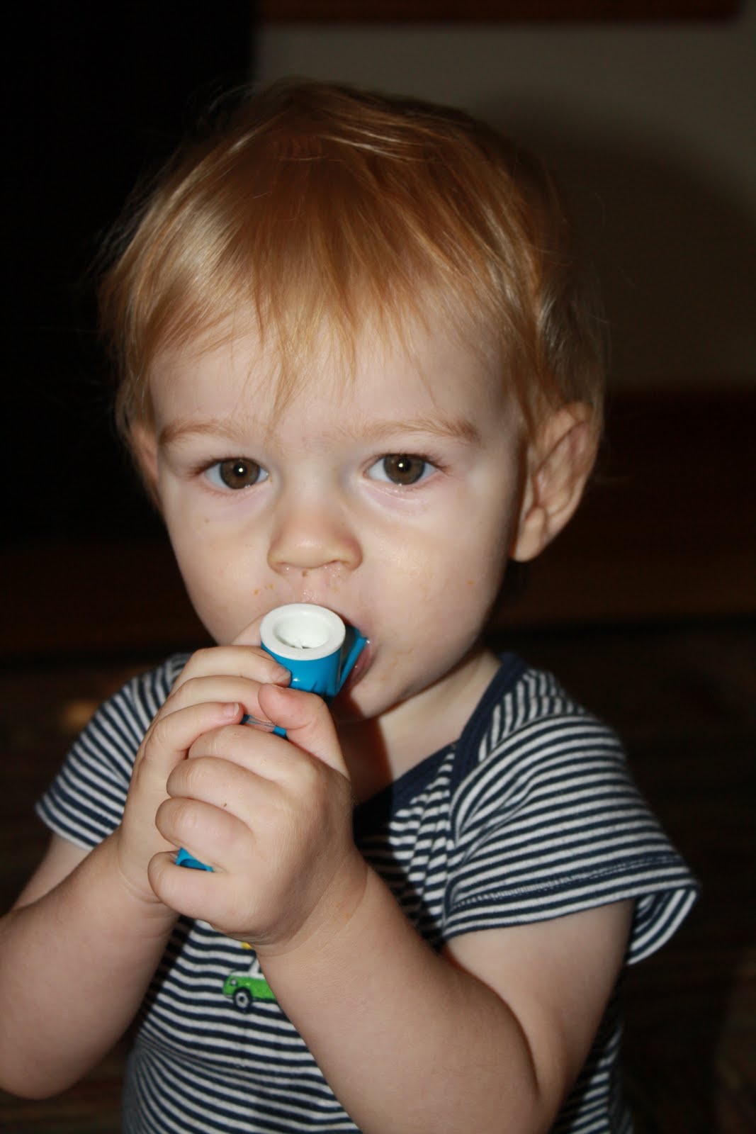 Heyborne Habitat I Can Play the Kazoo, Can You?