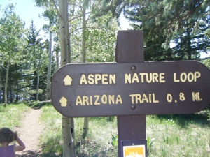 Flagstaff Family Fun: Outdoor Activities