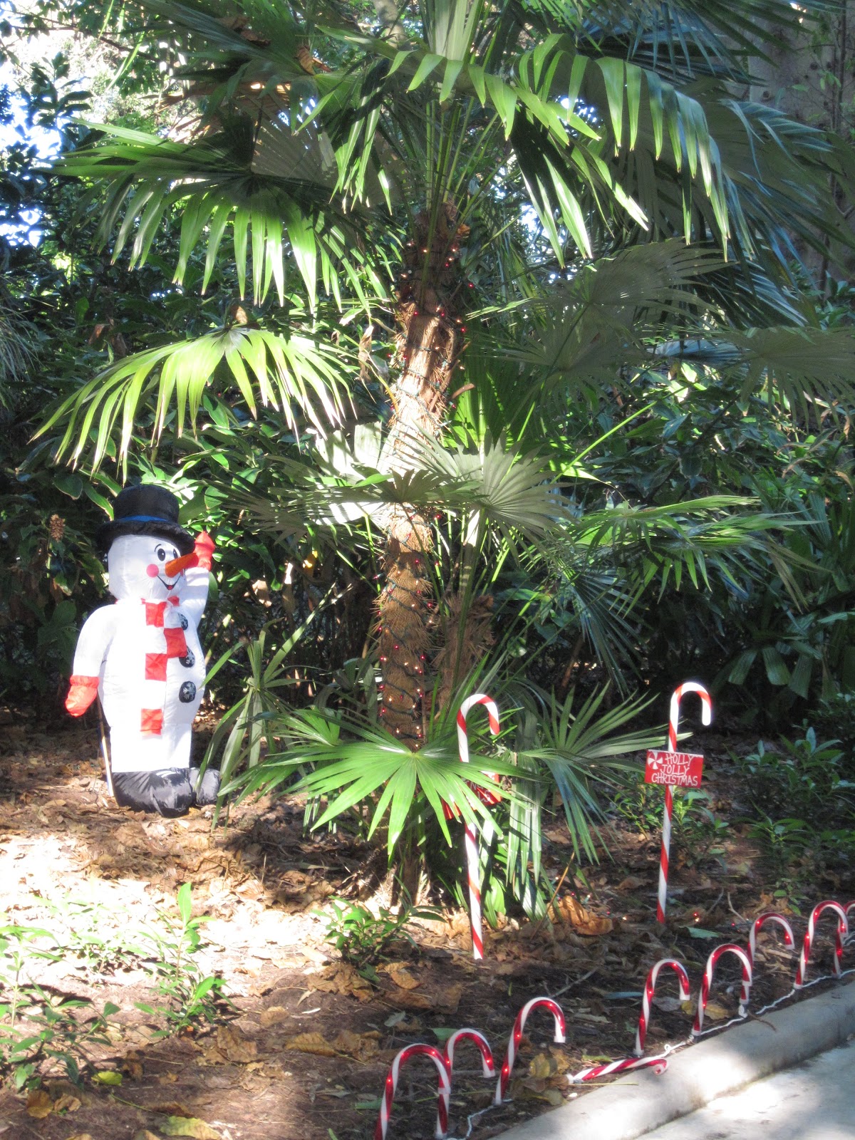 Keeping up with Kids: Santa Weekends at Flamingo Gardens and Holiday