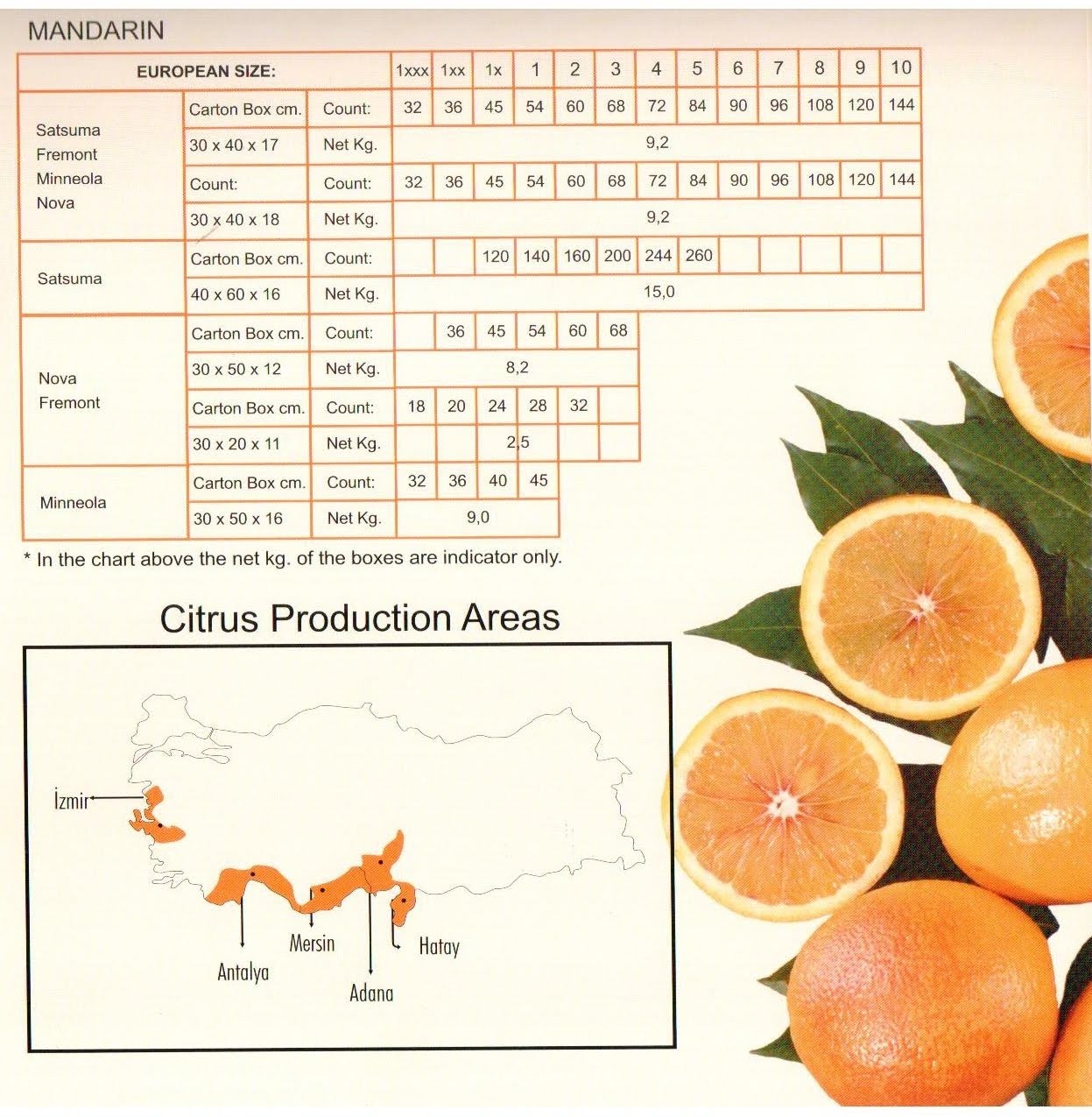 Фрукты по размеру. Размер ребенка по неделям фрукты. Пищевая ценность абрикоса. Разнообразные фрукты. Название цитрусовых фруктов с картинками.