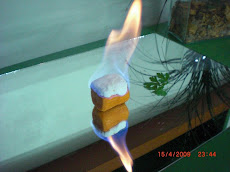 Segunda Etapa de Caramelización