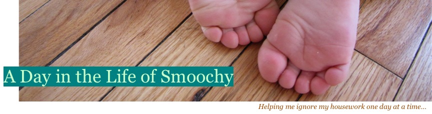 A Day in the Life of Smoochy