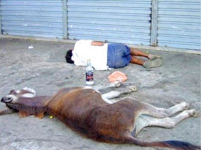 Imagens+engra%C3%A7adas+Burrice.jpg