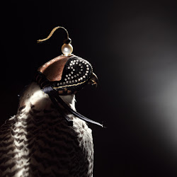 falconry falcon hoods hood birds hats goldschmied tiroler source hat falconers pirrotta leather raptors mauve luxurylaunches