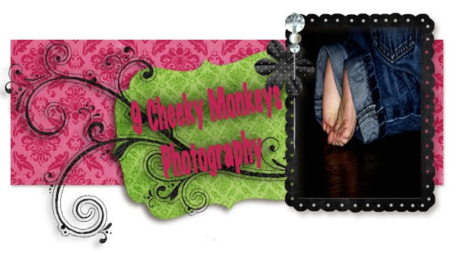 9 Cheeky Monkeys Photography