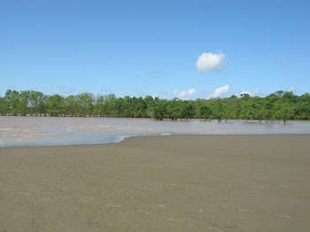 Praia do Goiabal