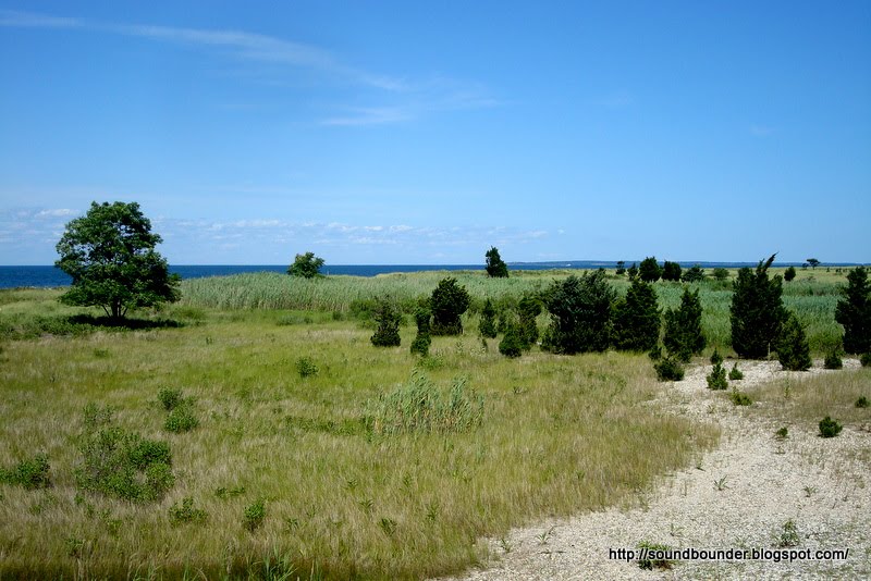 SOUNDBOUNDER Cedar Point, East Hampton