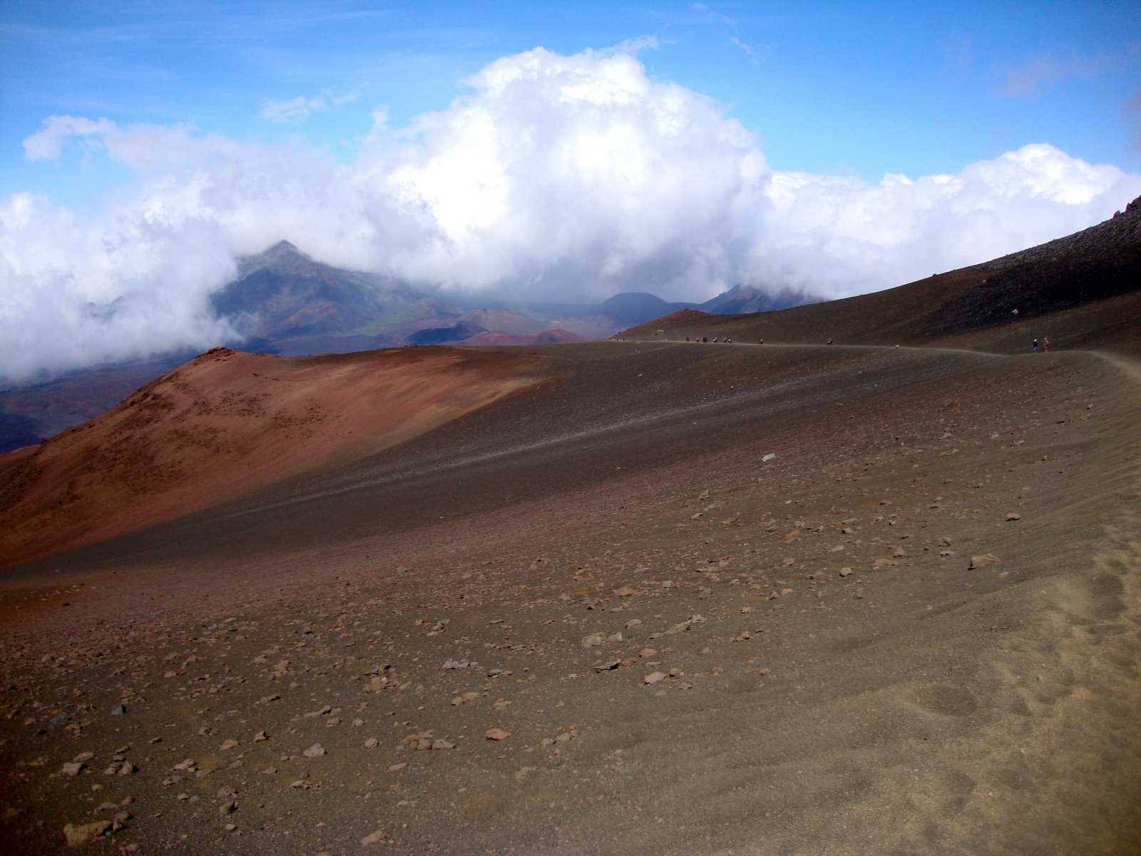 [DSC01619.JPG]