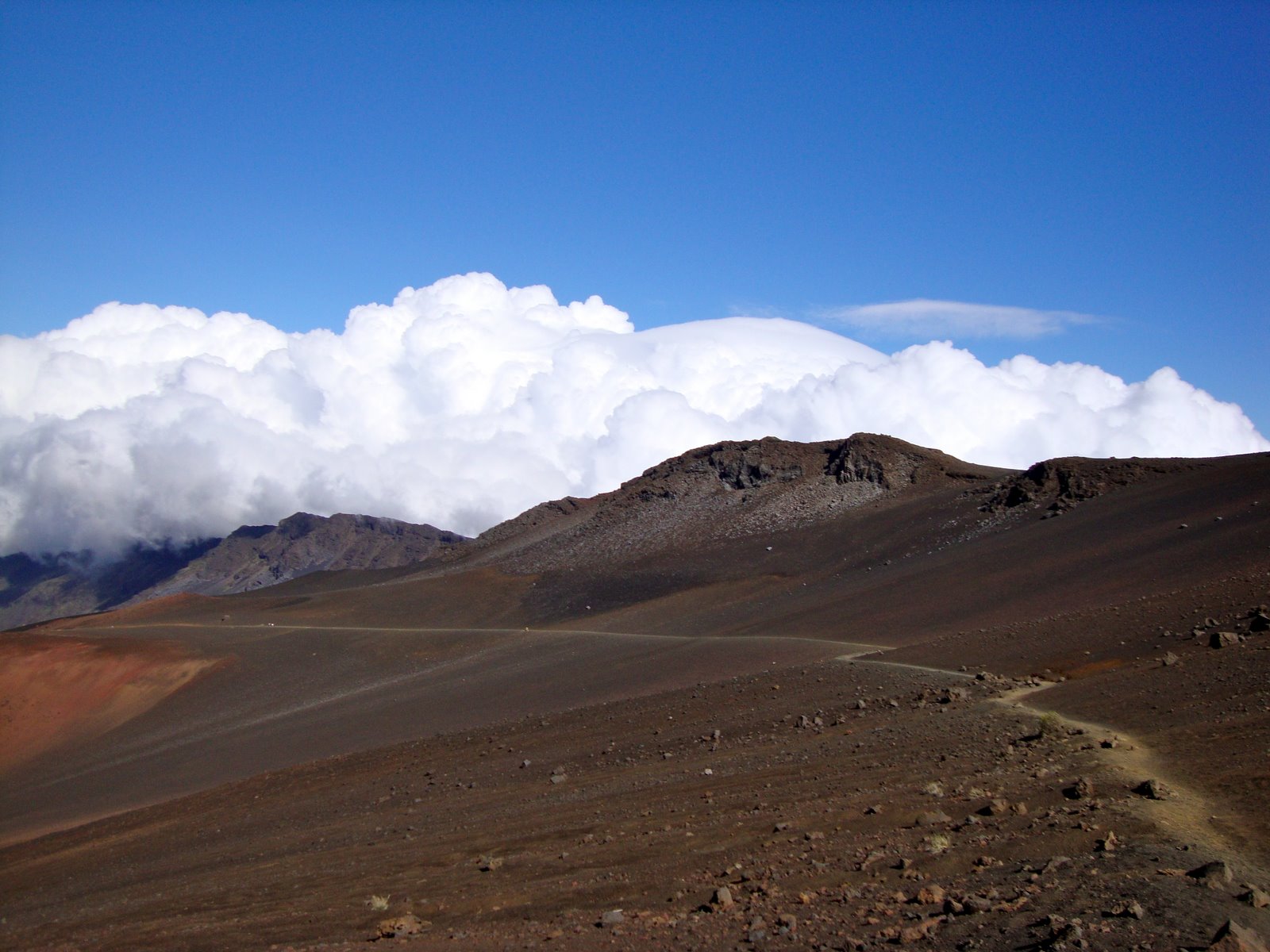 [DSC01679.JPG]
