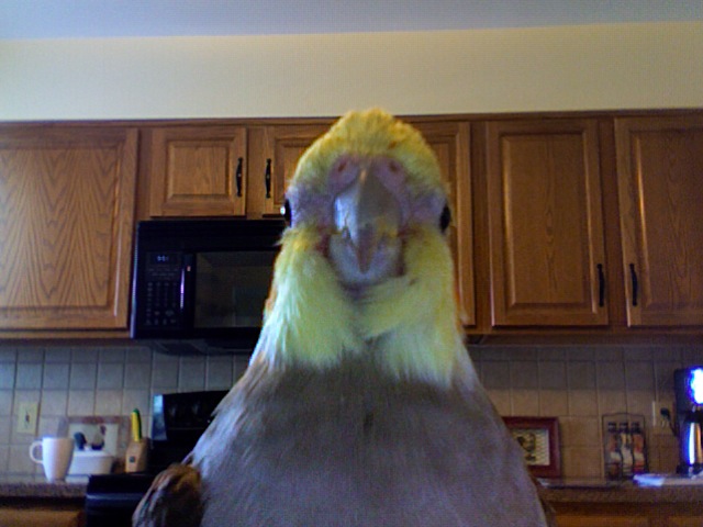 Test