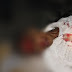 MEOQUI:  VIOLENTO Y RETROGRADO; LAPIDAN A HOMBRE EN RIÑA DE BAR