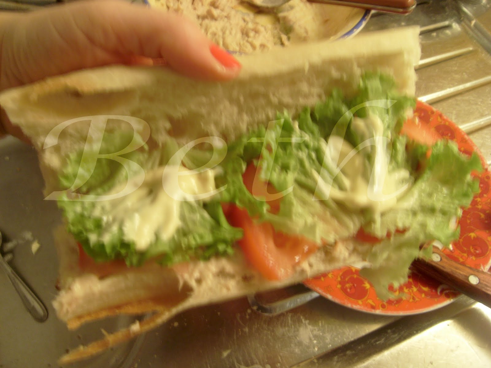 [Photo+046+copie.jpg]