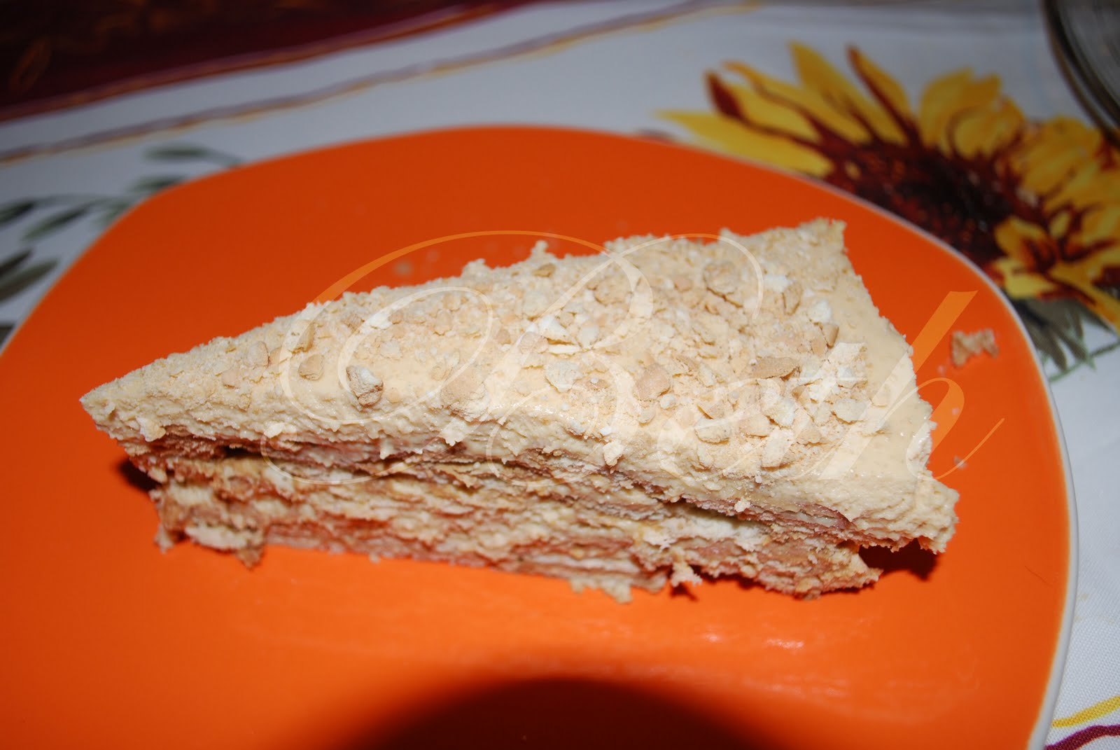 [Photo+060+copie.jpg]