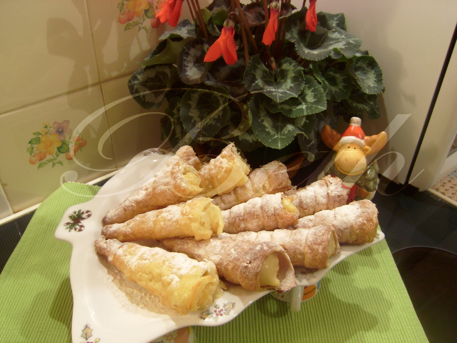 [Photo+041+copie.jpg]