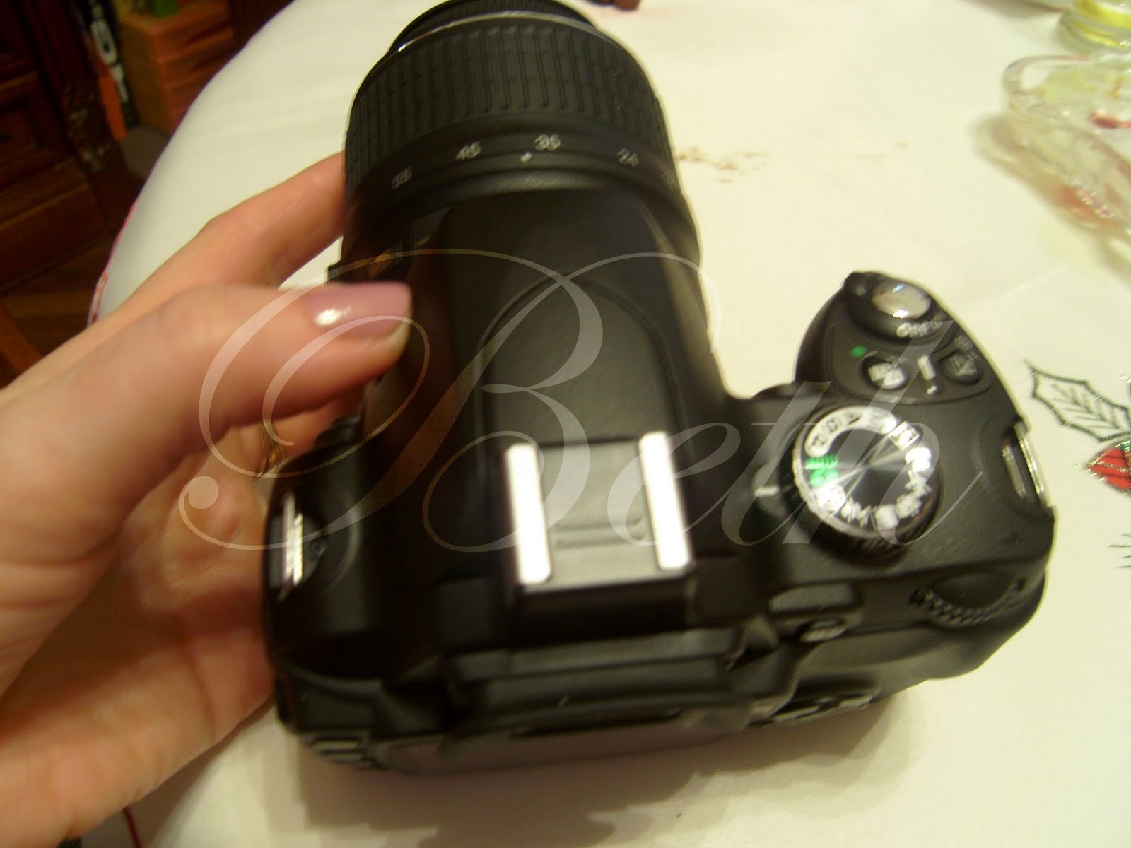 [Photo+112+copie.jpg]