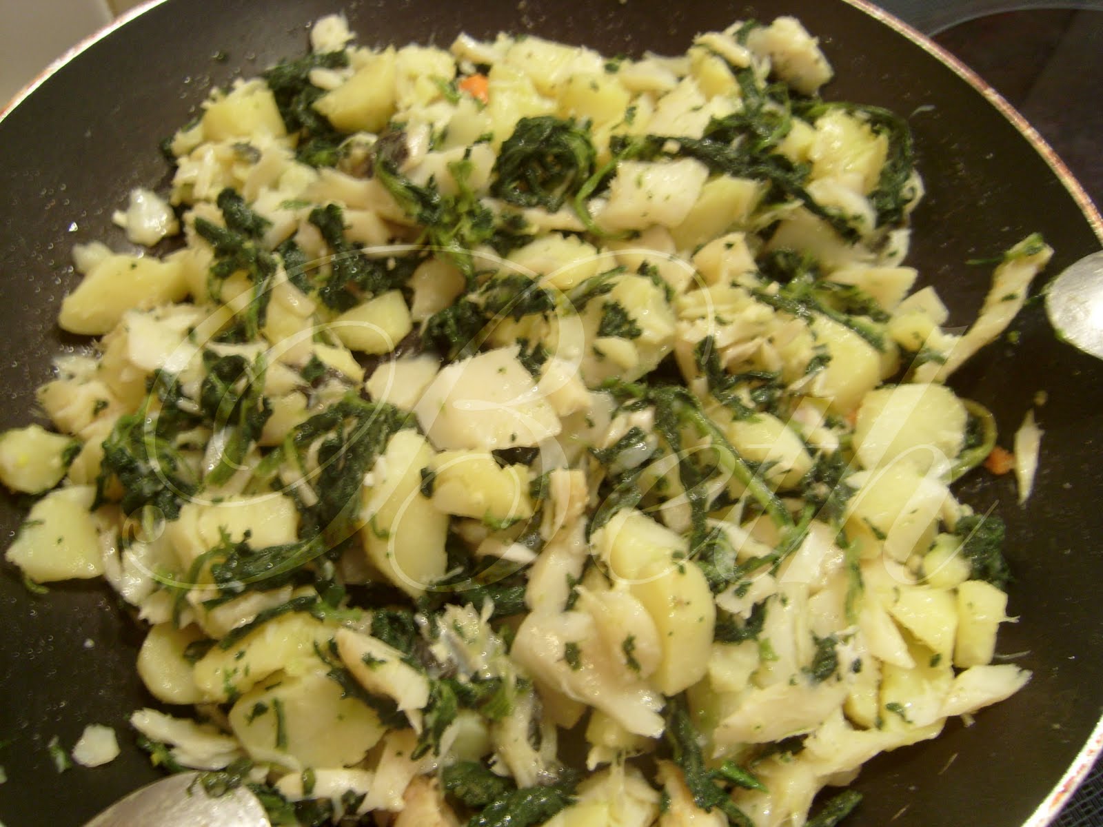 [Photo+010+copie.jpg]