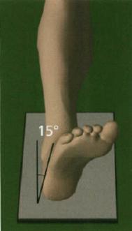 [Picture8.jpg]