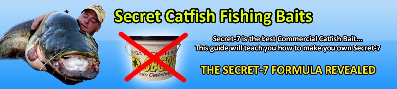 Secret Catfish Fishing Baits