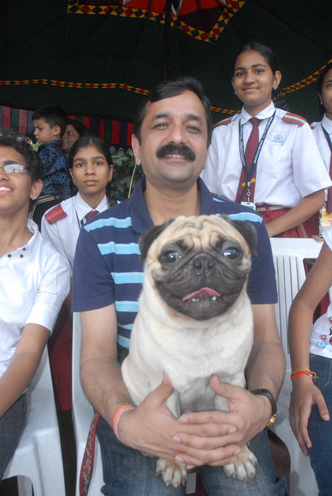 test Sports Dog Show at Hyderabad Stills, Hyderabad Canine Club Dog