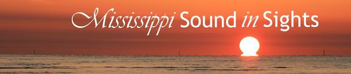 Mississippi Sound in Sights