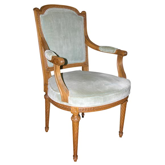 [jansenchairmal.jpeg]