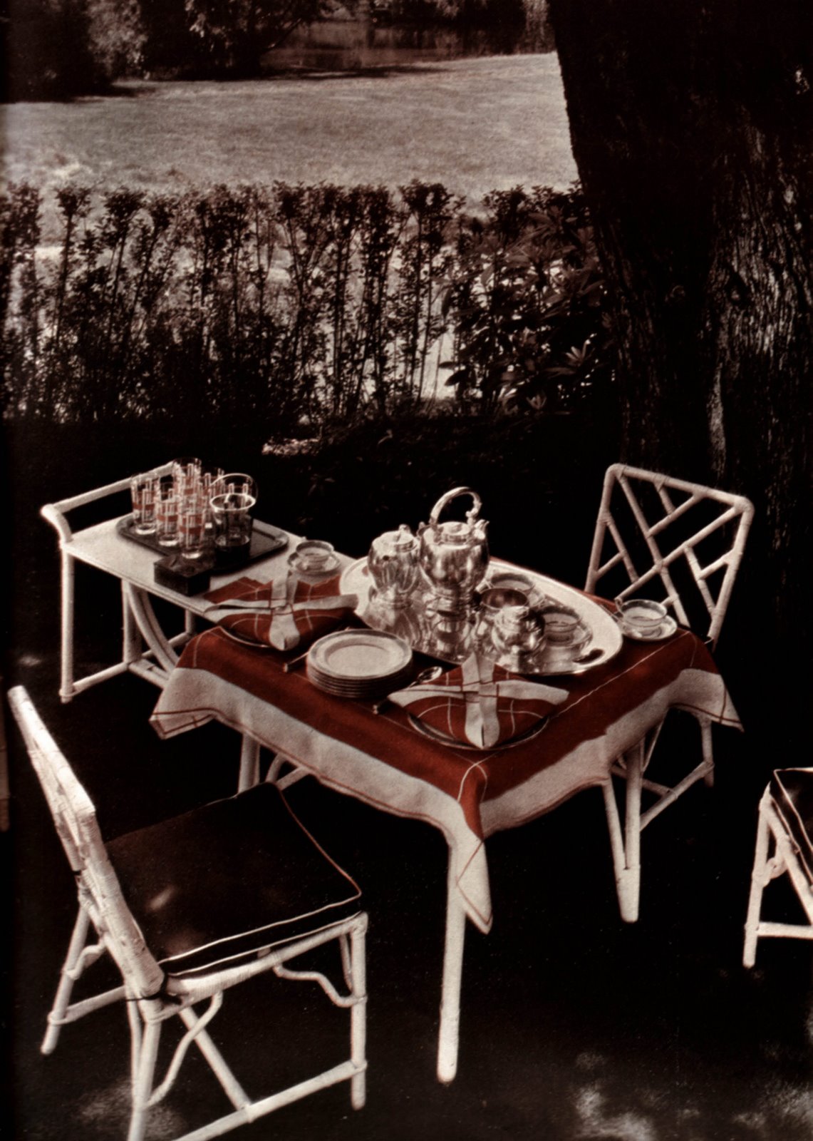 [hgpicnic_edited.jpeg]