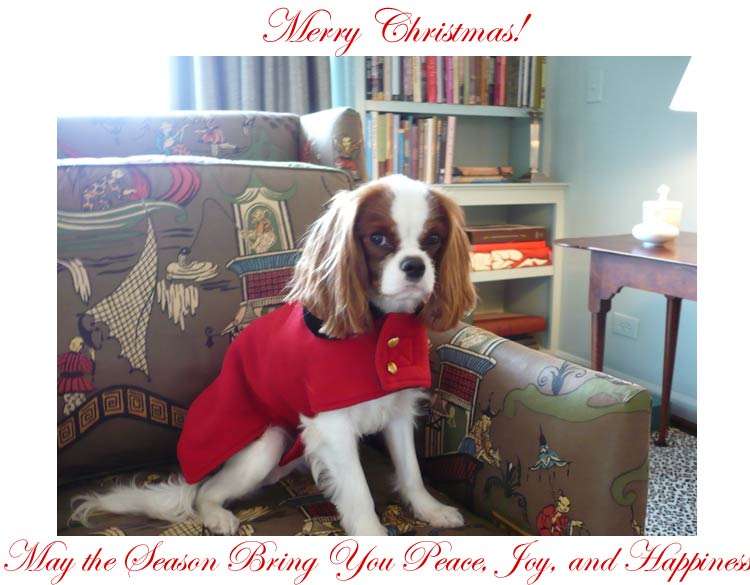 [alfieinredcoatscript.jpg]