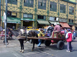 Mercado El Cardonal