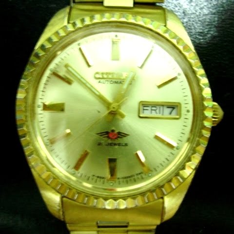 citizen gold dive watch